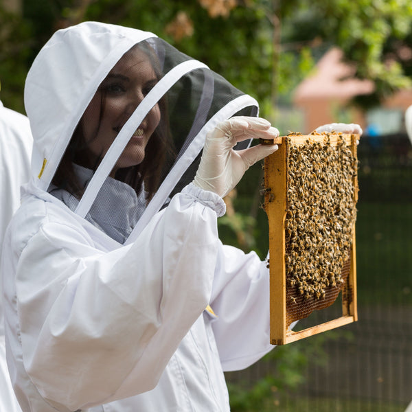 Hiver London Urban Honey