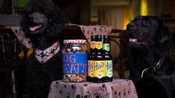 Dog-Friendly Sundays in Bermondsey