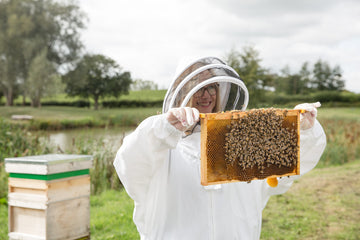 Immersive Beekeeping Experience