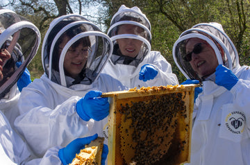Launch: Introduction to Beekeeping Taster Workshop