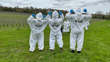 Beekeeping for Beginners in London: How to Start